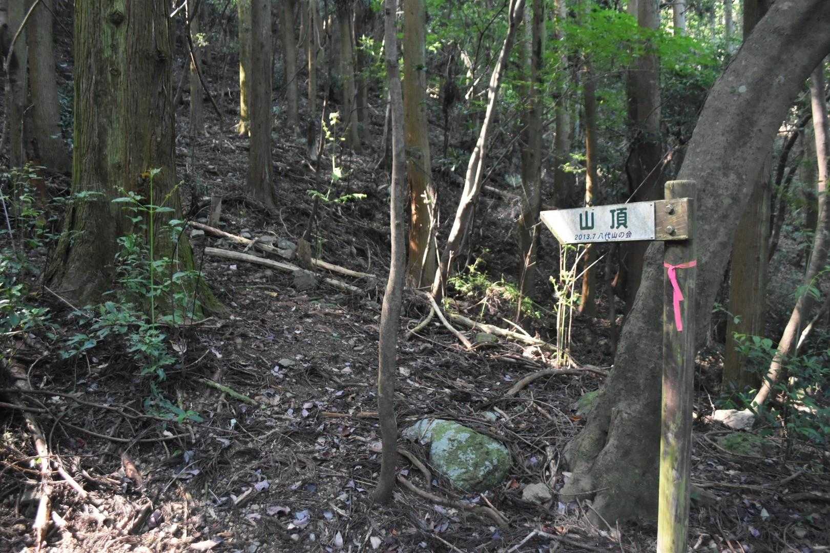 標識も多い。

八代山の会のみなさんに感謝🙇。