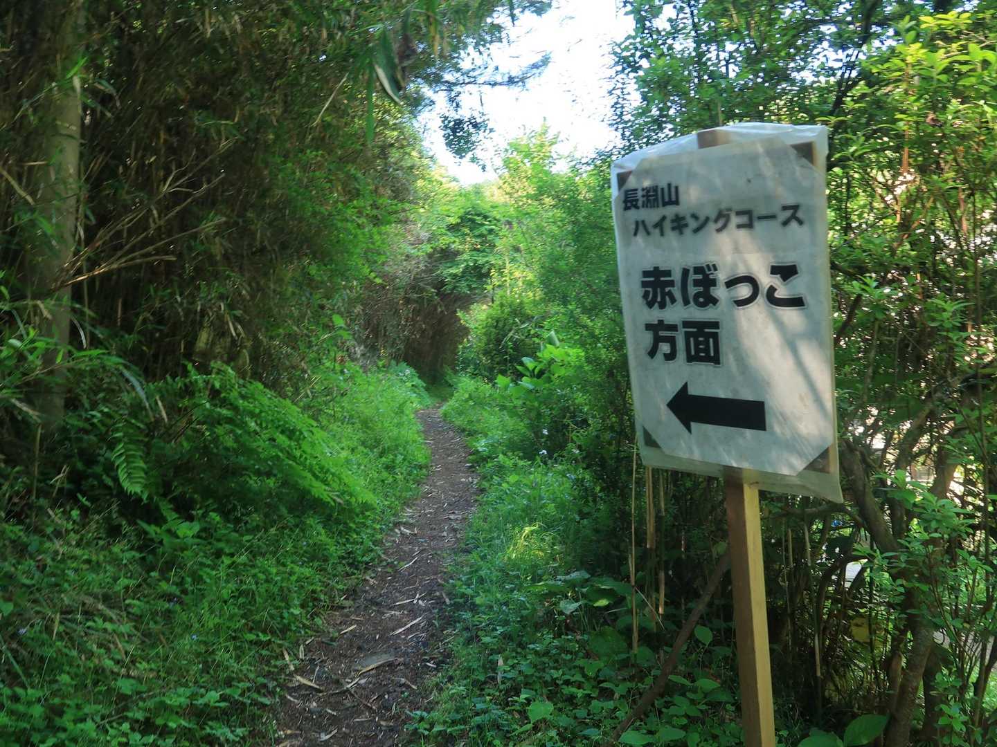 すれ違った方に数日前に熊が🐻出たから気をつけてねって言われた…
友人に熊鈴をつけてもらいスタート
でも途中で熊鈴無くなってた😅