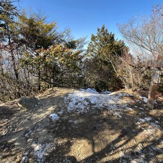 大持山も小持山も展望はあまりないが、
こんな感じで休憩できるスペースはある