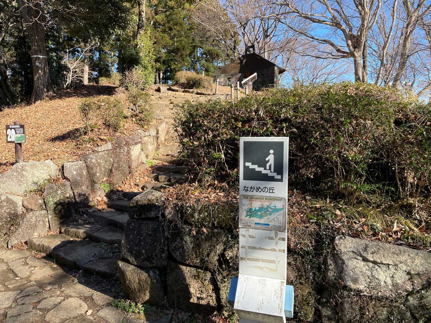 ココはまだ森林公園