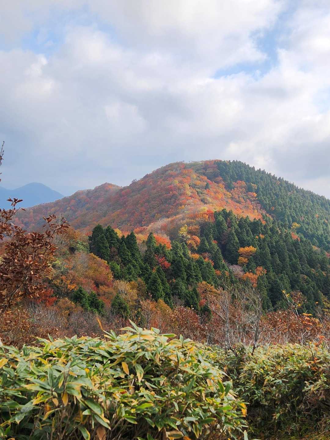 井水山-中央峰-泉山 往復コースの写真