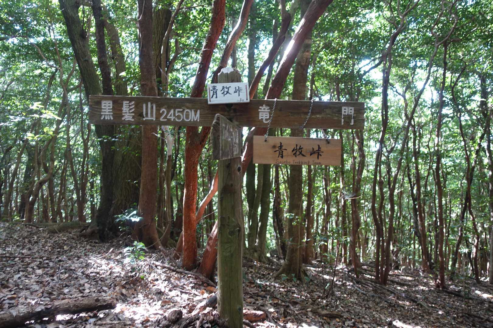 分岐