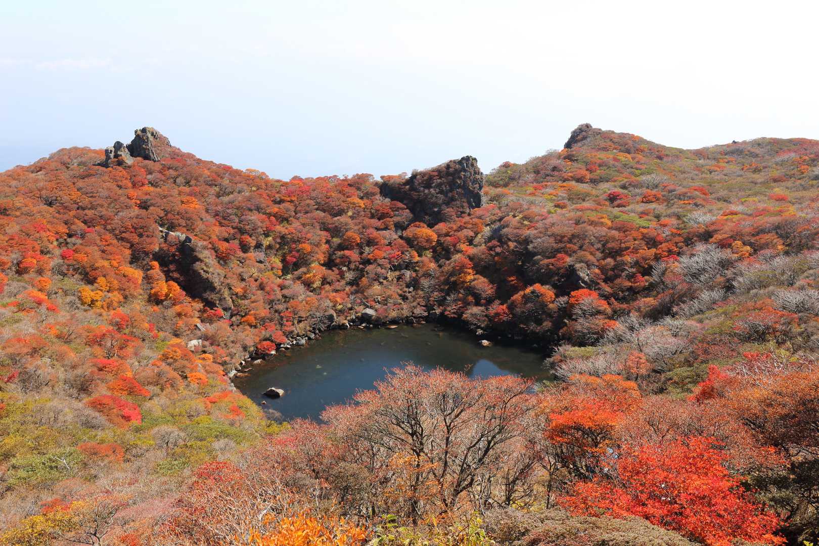 大船山の写真