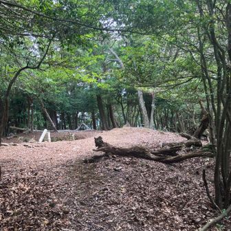 楠部山に到着