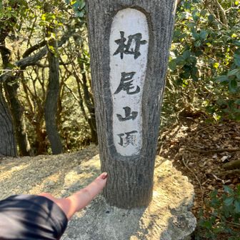 登頂🙌