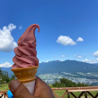 いつものルバーブソフト😋