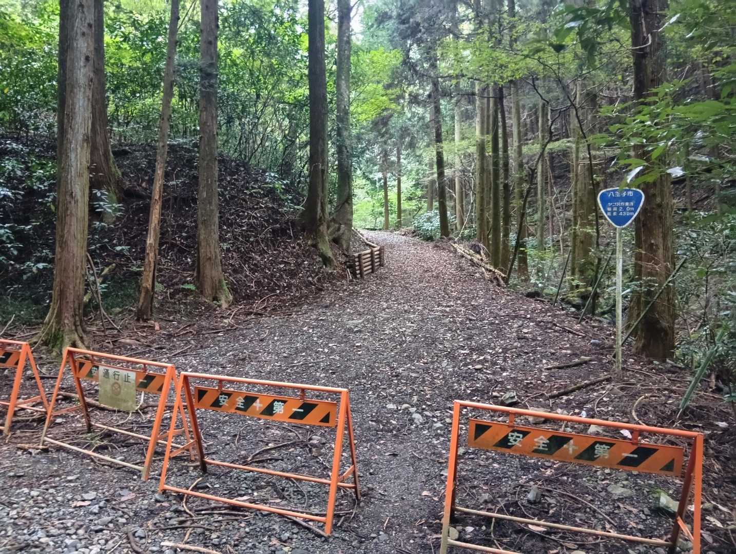 今日も無事に下山した！

こっちの道は通行止めか