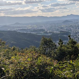 大和三山が見える