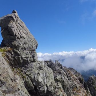 高齢者 ほこら2号