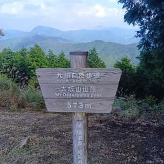 大坂山頂上