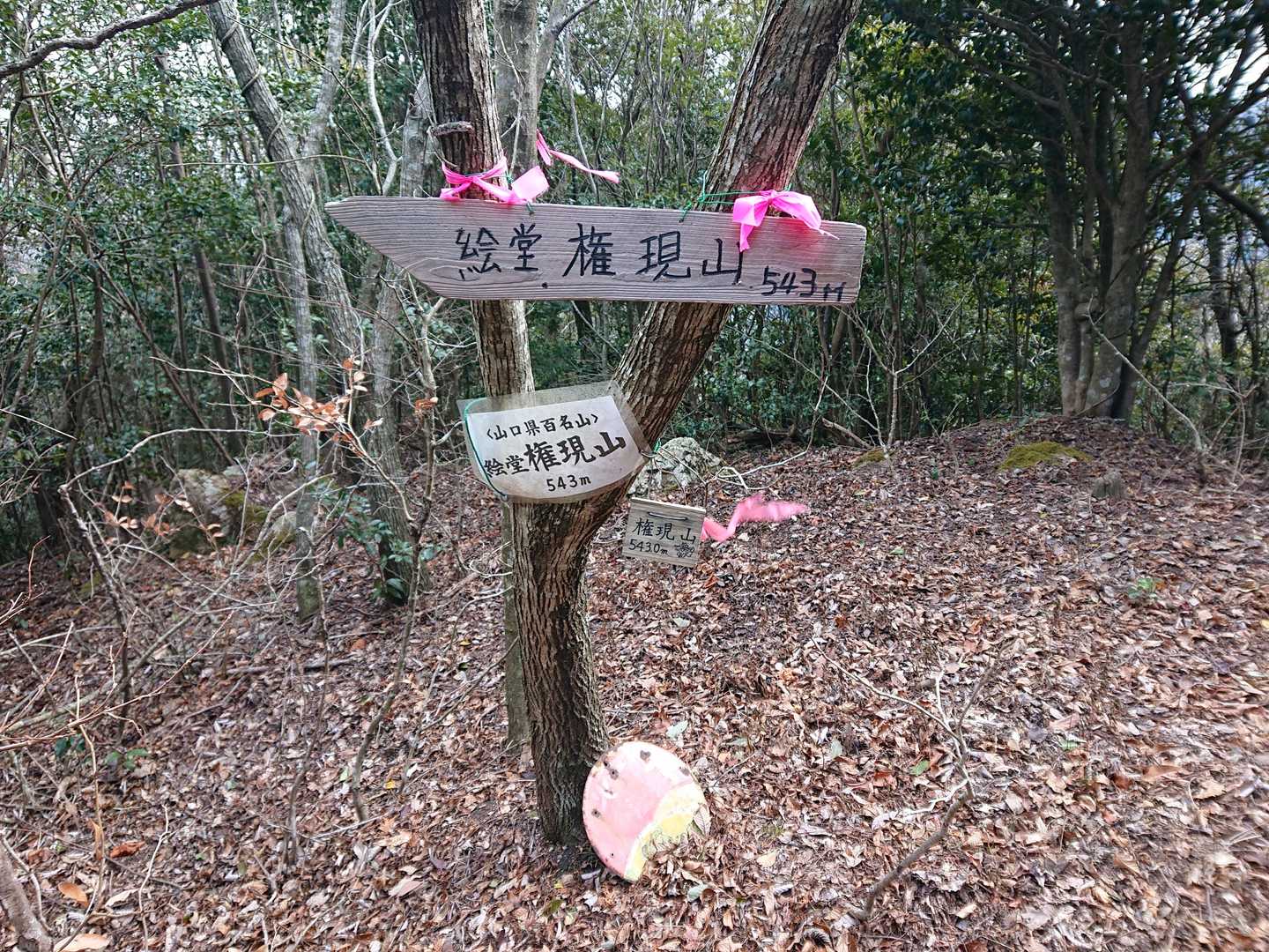 権現山（山口県美祢市）の写真