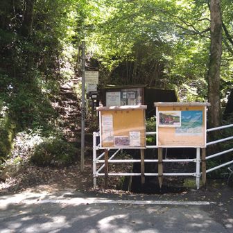 小谷登山口からスタートするが、強い陽射しが照り付けます🥵