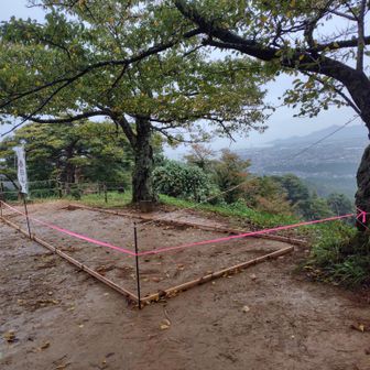本丸何かしてる
