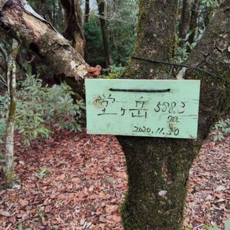 山頂標識　その②