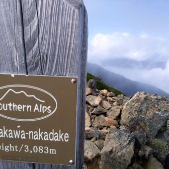 次のアラカワ