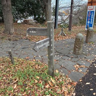はるひ野駅の近くから県境は「よこやまの道」