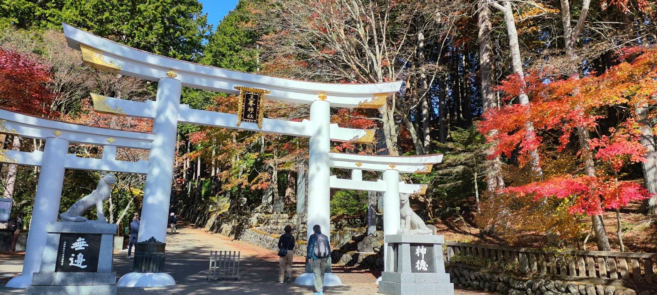 三峯神社正面鳥居
紅葉と重なると絵になるねー