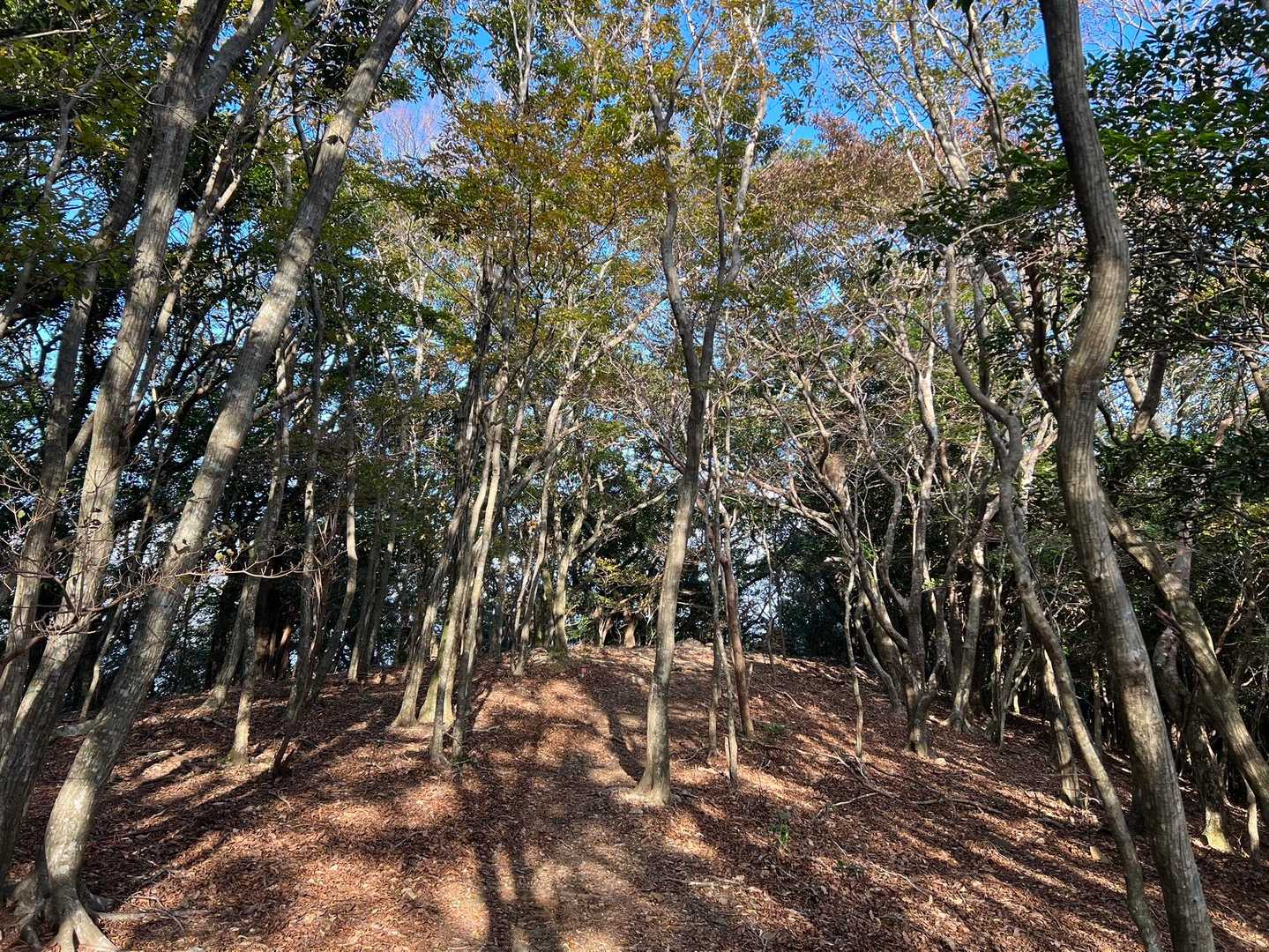 清水山-有明山 周回コースの写真