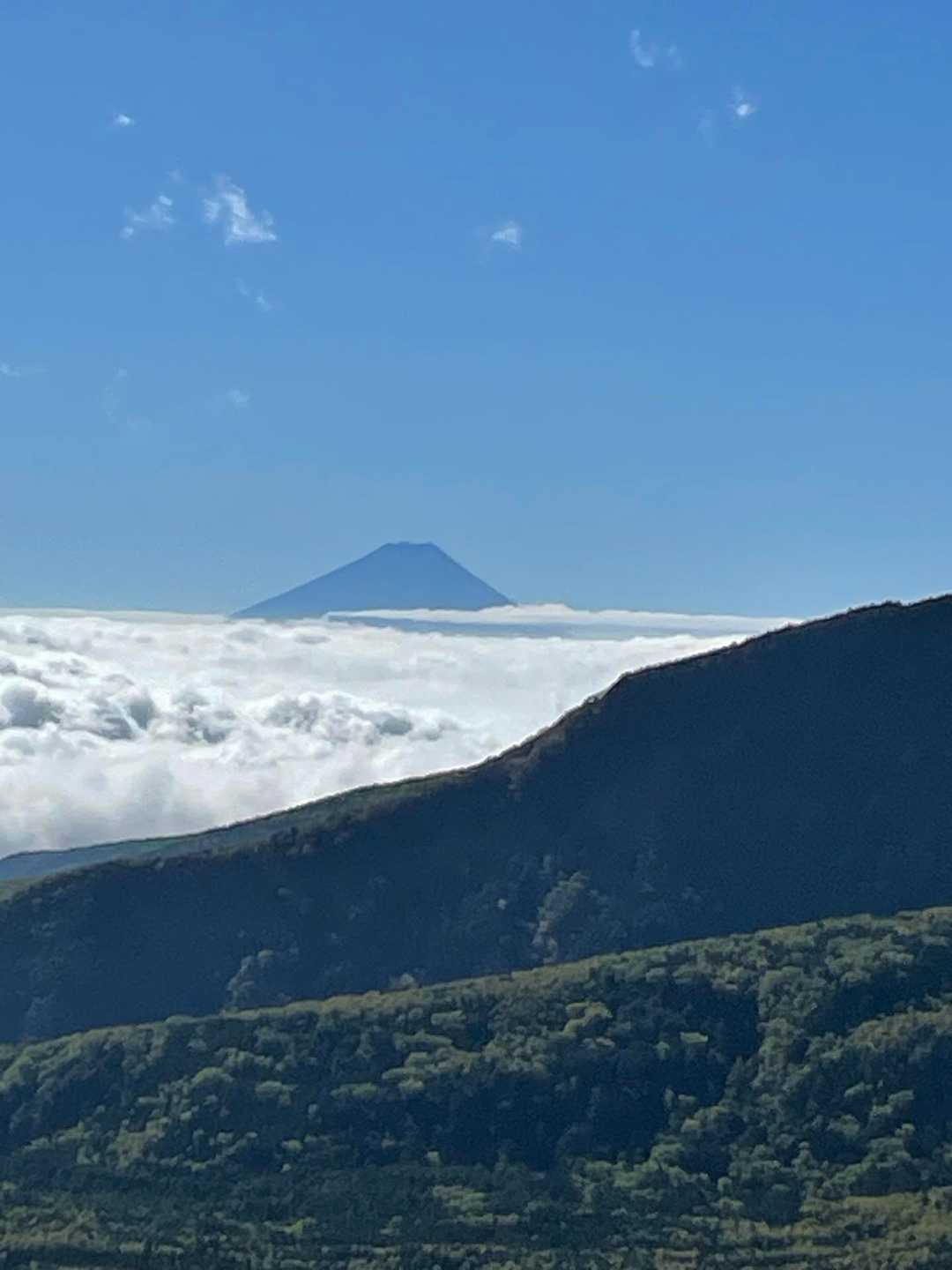 白駒池コース | 苔むした原生林と神秘の水面。北八ヶ岳特有の情景を見下ろす岩峰の写真