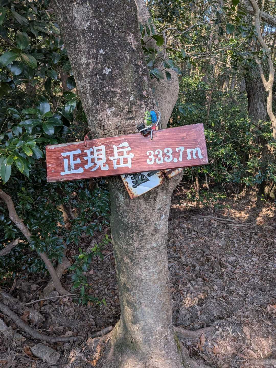 眺望無し