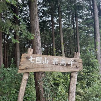 登山道というかほぼ林道でいつのまにか最高峰