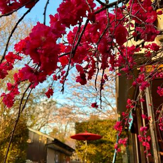 休憩にオススメ