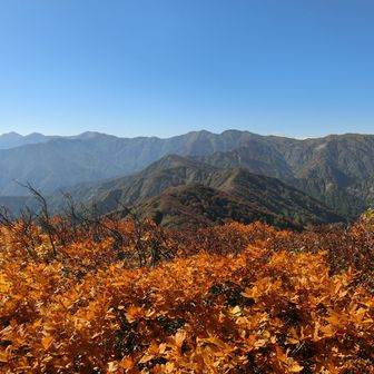 高松尾根の奥に寒江山
こちらも今年は歩かずじまい