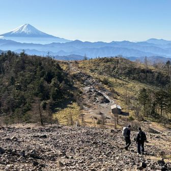 素晴らしい景色です
