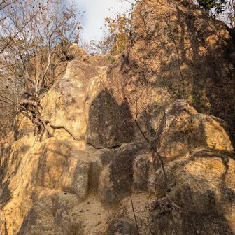 ココ登れなかった