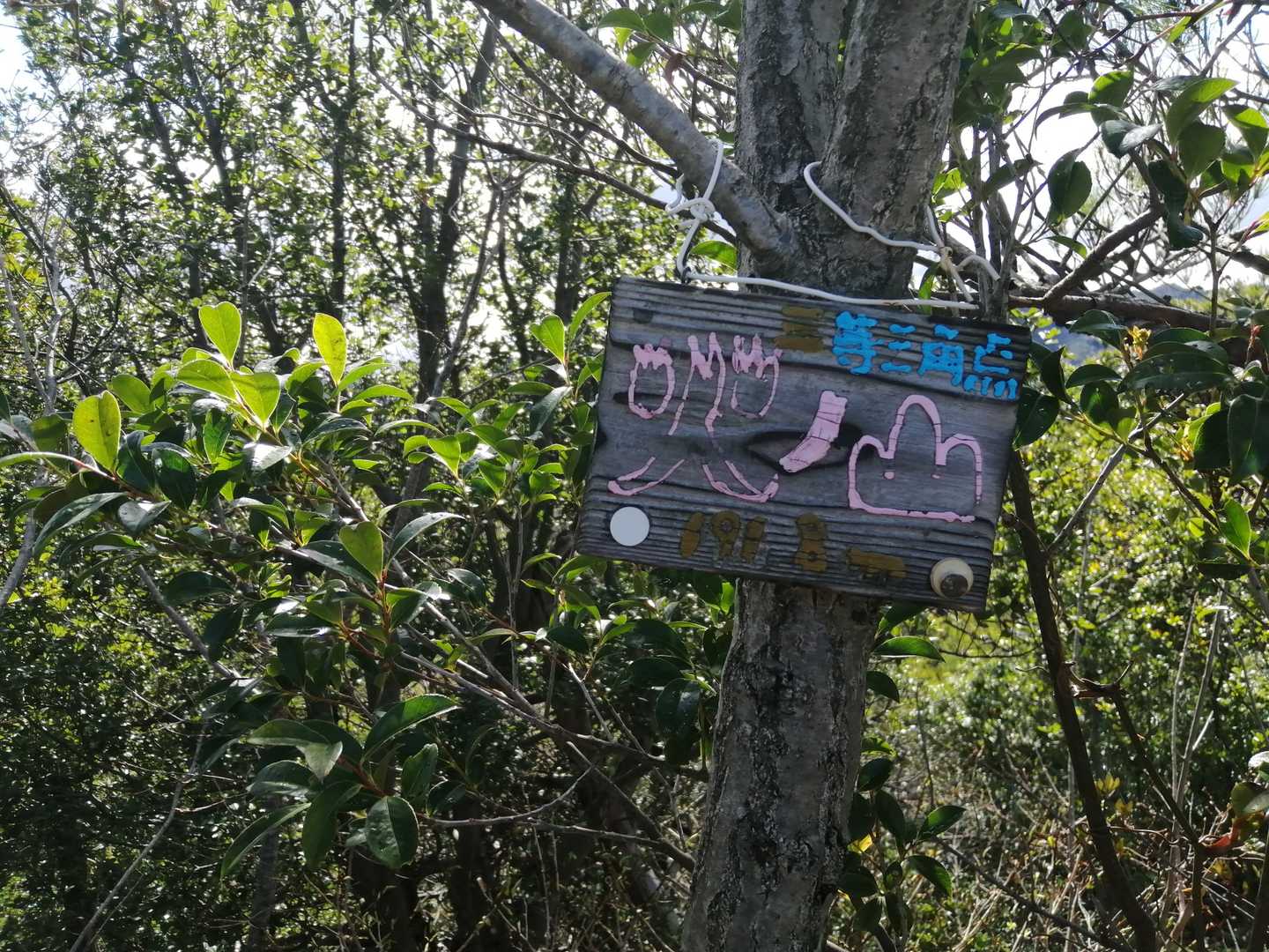 えっ👀⁉️！もう到着▲火ノ山