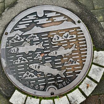 あきる野マンホールは川魚のデザイン👀