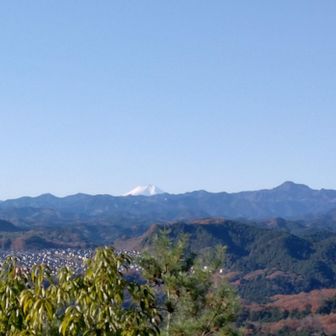 右端のが大岳山
形が特徴的なので分かりやすい