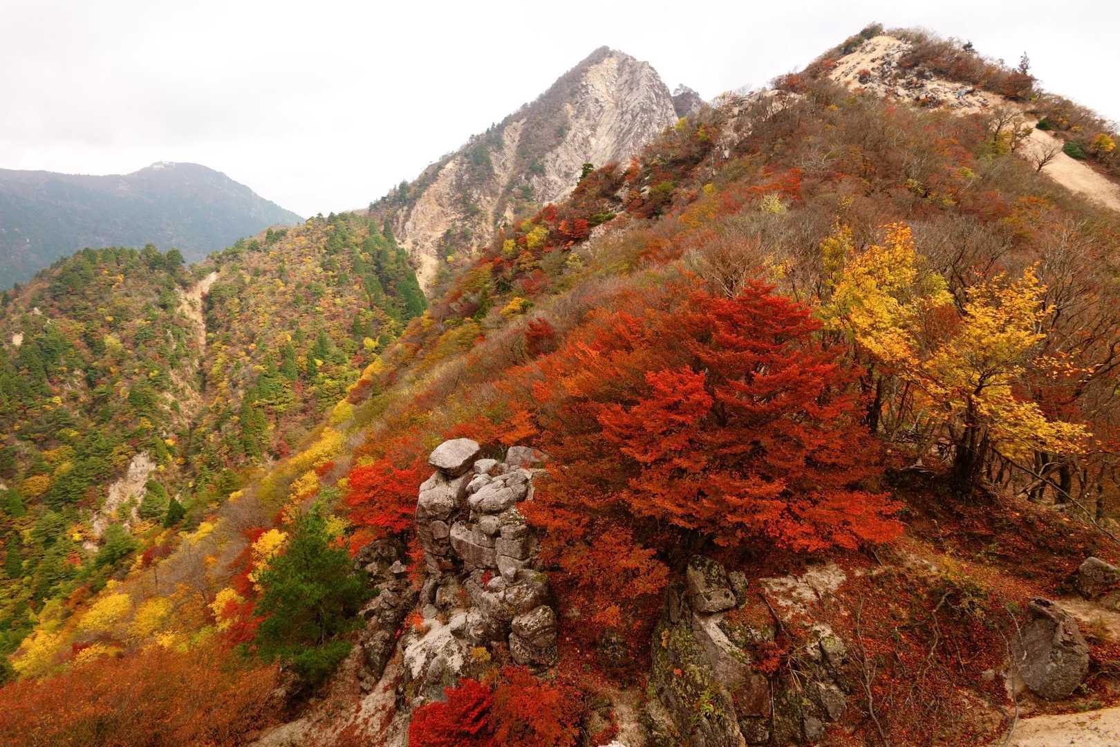 紅葉真っ只中。