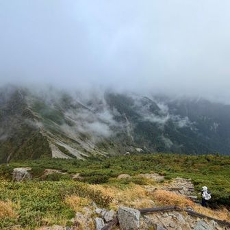 この前後から雨がパラついてきていました☔
空木岳はガスの向こう…⛰️☁️