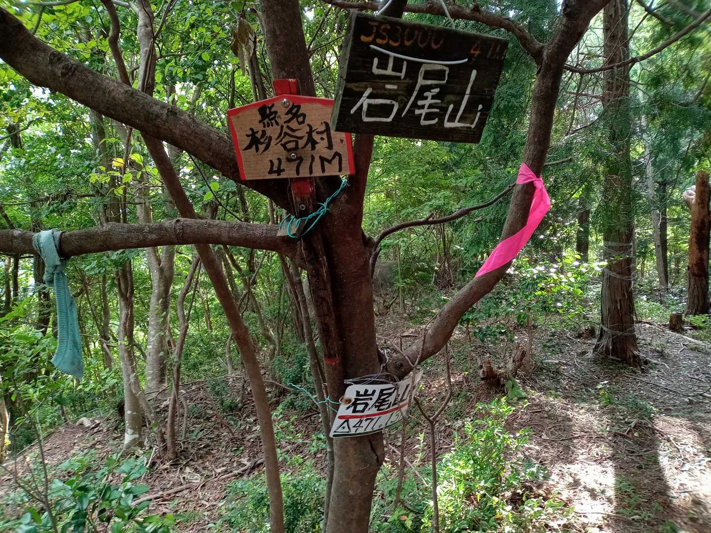 岩尾山、山頂②