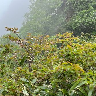 陽が当たる