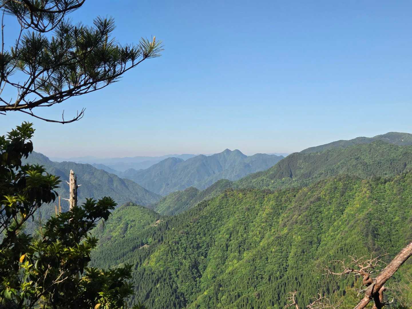 杉ヶ越登山口-傾山 往復コースの写真