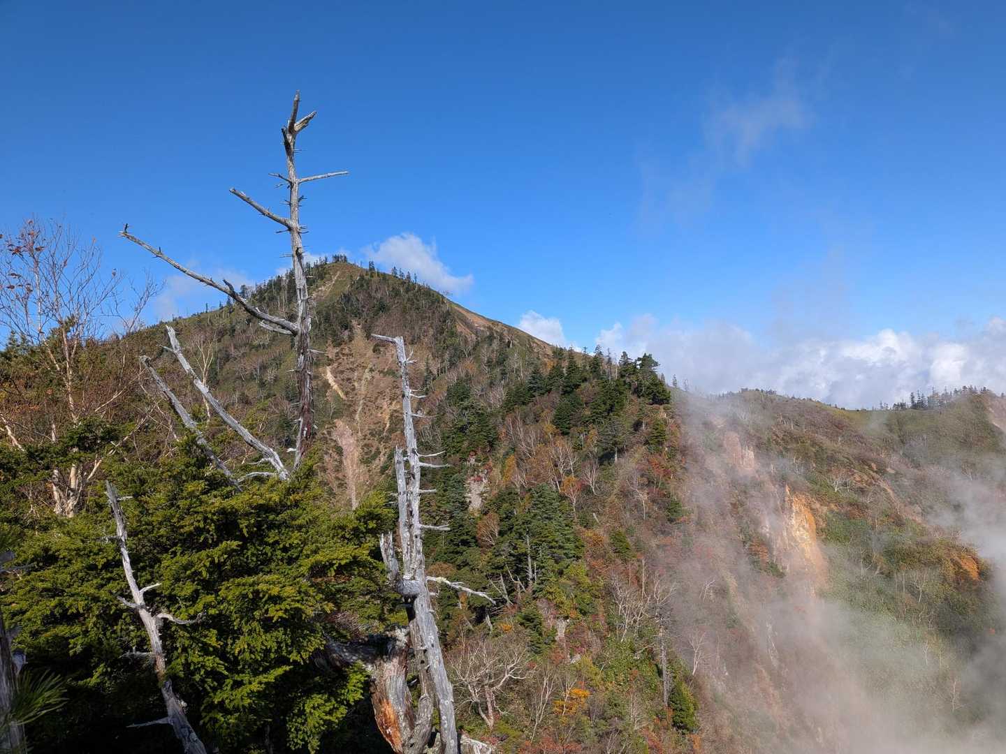 山頂がみえた