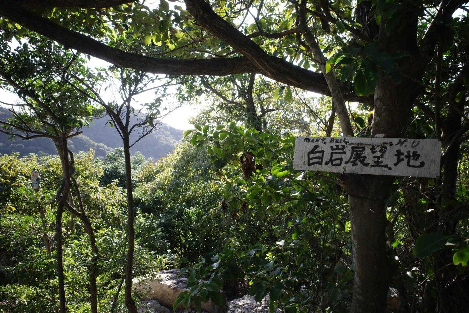 道を選び間違えた。下りは滑りやすい。