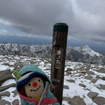 湯ノ丸山⛰️初登頂❗️
温泉ヶ岳なみに温泉マーク♨️が頭に残る山名🏔️