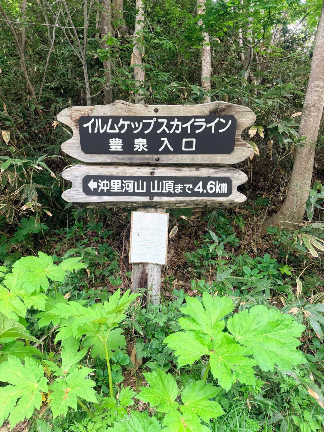 音江連山登山口に車を停めてスタート❗️
少し歩くとイルムケップスカイラインの入口🪧
時計回りで最初に林道を4キロちょっと歩きます😅