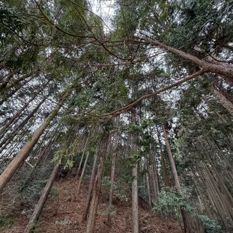 本日も無事に下山😊
お疲れ山でした👍