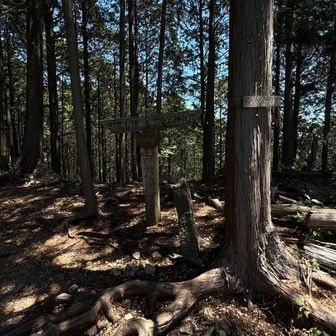 地図上の展望ポイントへの分岐