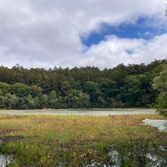 古池から下ると種池。
干ばつの時は、この水を汲んで戸隠神社に雨乞祈願をすると、その里では必ず雨が降るとの事。
今年9月は、ちょっと頑張り過ぎたのでは❓