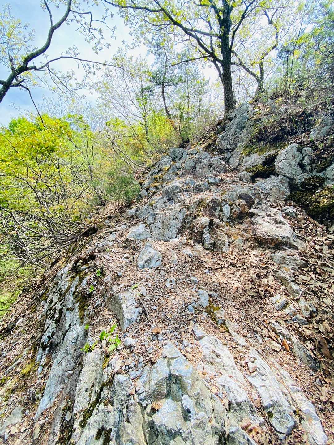 第二登山口-杣山 周回コースの写真