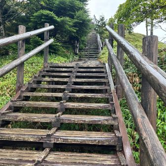 木道もあります。
