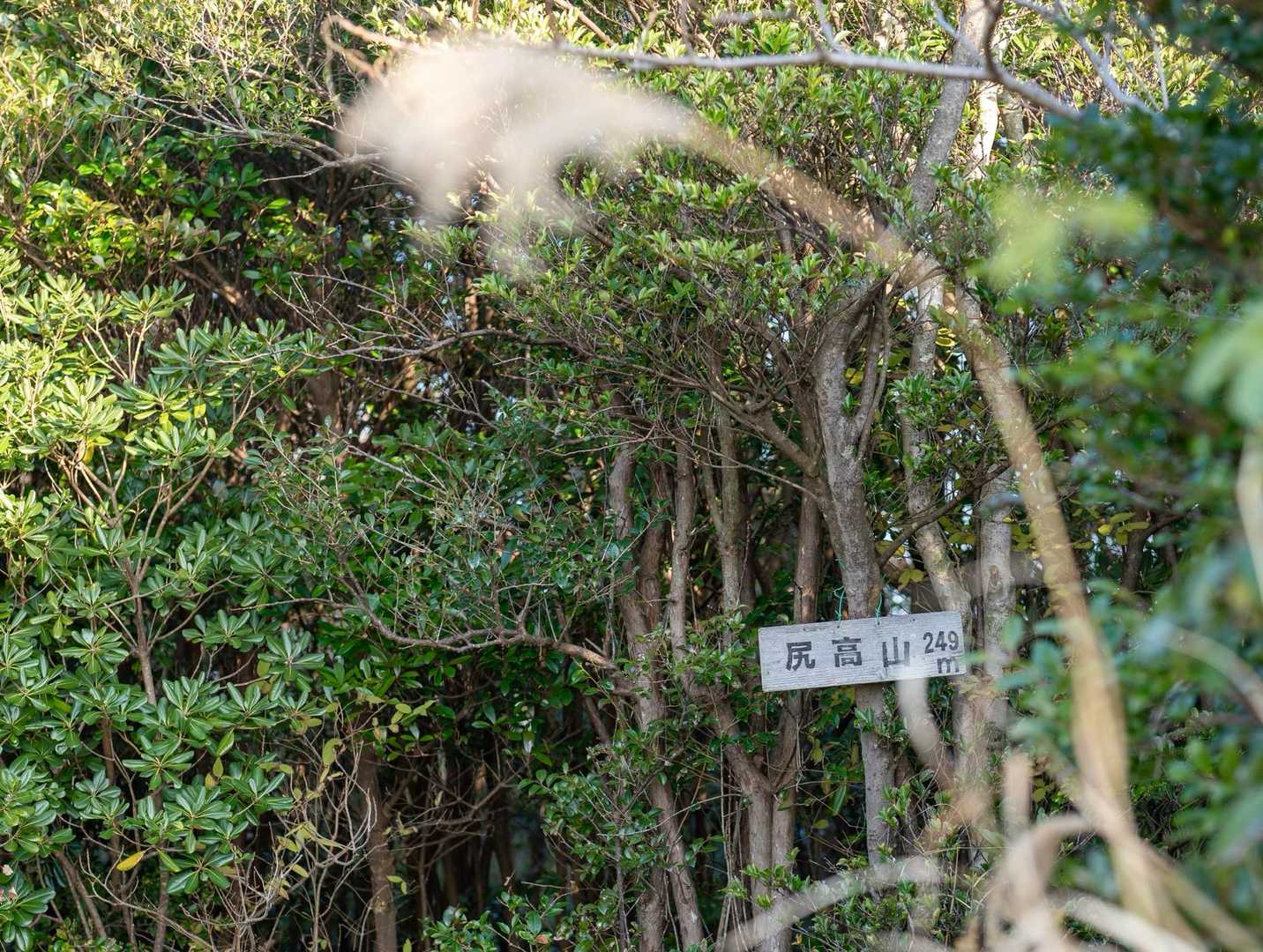 一座目の尻高山　ここで600座