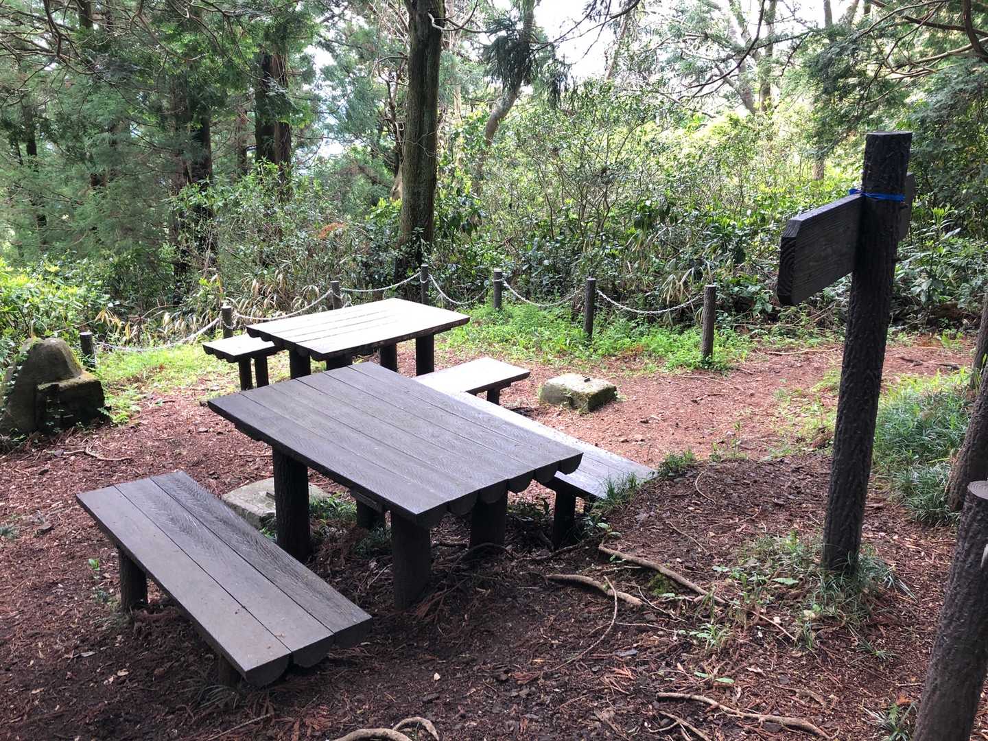 花沢山の山頂です。