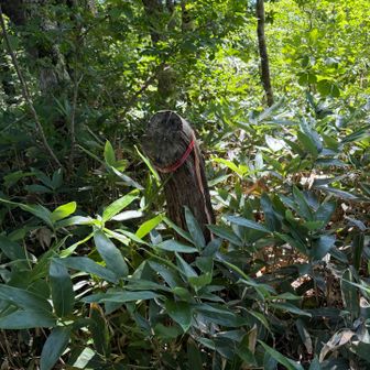 比婆山1264m地点
