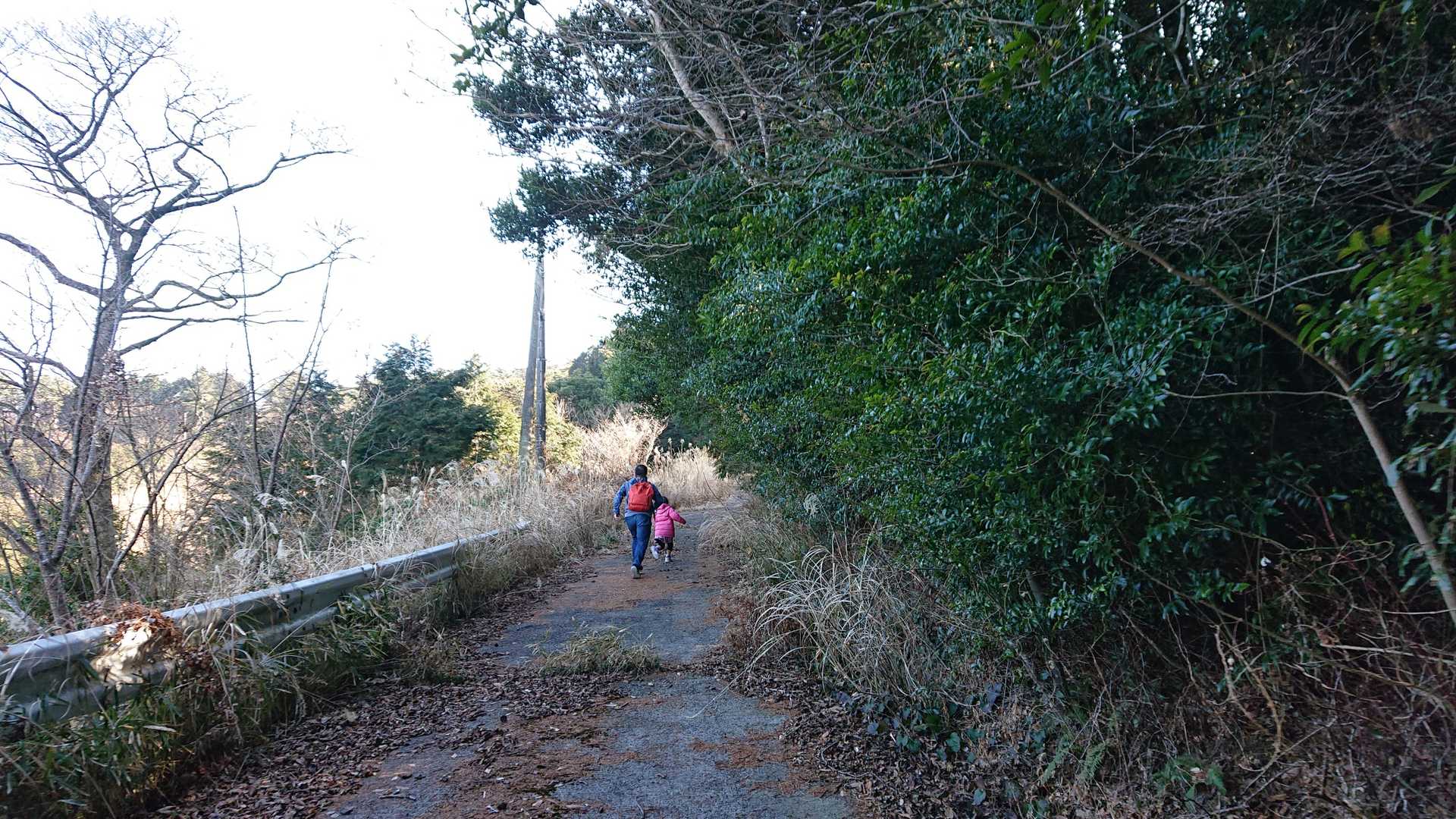 鳥甲山登山口-鳥甲山 往復コースの写真